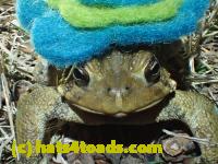 /home//u458753944/public_html/sourcegallery//Roxborough Toad Detour/2013-2019/2017/P3010559.JPG